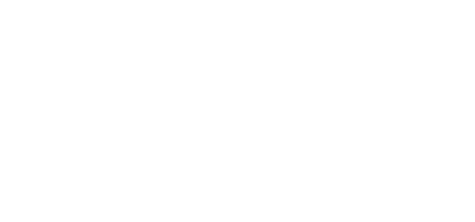 F11 Pro Logo
